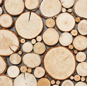 STEGU WOOD COLLECTION PŁYTKA  PURE  76x36CM  OPK. 0,58M2