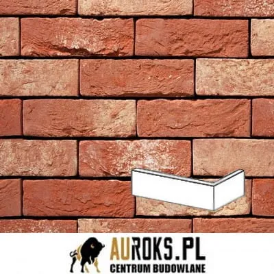 PŁYTKA KĄTOWA AFFLIGEM 61 DF 210x100x65x20 MM RĘCZNIE FORMOWANA VANDERSANDEN.jpg