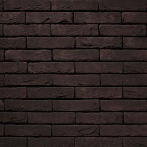 VANDERSANDEN CEGŁA SAUMUR 586 WF 210x100x50 MM