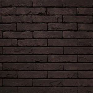VANDERSANDEN CEGŁA SAUMUR 586 WF 210x100x50 MM
