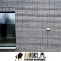 PŁYTKA KĄTOWA KLINKIEROWA KOLOR SYRIUSZ CIENIOWANY 250x120x10x65 MM CRH -LHL KLINKIERwyk.jpg