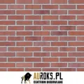 PŁYTKA KLINKIEROWA KOLOR CLAY LAND NF 71x240x10 MM KLINKIER PRZYSUCHA.jpg