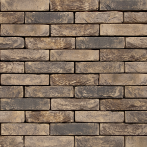 VANDERSANDEN CEGŁA BRAMA 122 DF 210x100x65 MM