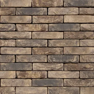 VANDERSANDEN CEGŁA BRAMA 122 DF 210x100x65 MM