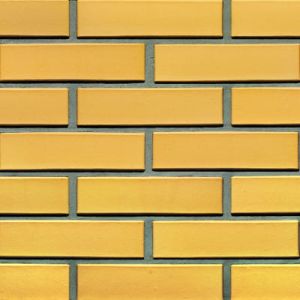 LODE CEGŁA KLINKIEROWA PERFOROWANA KOLOR SAHARA RF 250x120x65 MM