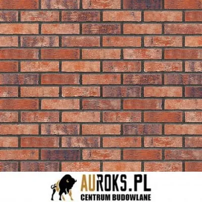 PŁYTKA KLINKIEROWA KOLOR  BRICK STREET NF 71x240x10 MM KLINKIER PRZYSUCHA.jpg