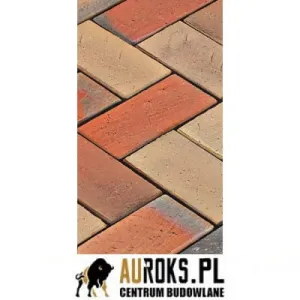 LODE BRUK KLINKIEROWY KOLOR ARGON 200x100x47 MM