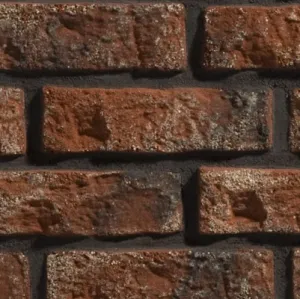 STEGU KAMIEŃ DEKORACYJNY PŁYTKA RUSTIK 540  20,5 x 6 CM  OPK.1M2
