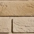 STEGU KAMIEŃ DEKORACYJNY PŁYTKA PARMA P2 22,2 x 7,4 CM