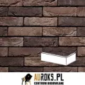PŁYTKA KĄTOWA TREVISO 72 DF 210x100x65x20 MM RĘCZNIE FORMOWANA VANDERSANDEN.jpg