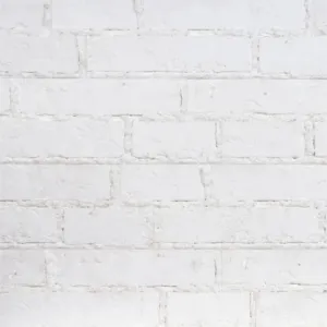 STEGU KAMIEŃ DEKORACYJNY PŁYTKA CELLAR, 46X15CM OPK. 0,48M2