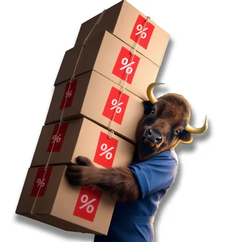 żubr grafika do kategorii promocje bez tła.png