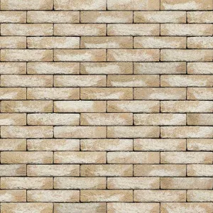 NELISSEN CEGŁA RĘCZNIE FORMOWANA CIPRIA WV65 213x101x65 MM