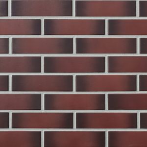 LODE CEGŁA KLINKIEROWA PERFOROWANA KOLOR ETNA RF 250x120x65 MM