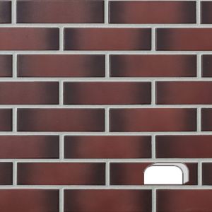 LODE KSZTAŁTKA KLINKIEROWA DWUSTRONNIE ZAOKRĄGLONA OW 2 PEŁNA KOLOR ETNA RF 250x120x65 MM