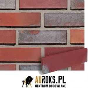 LODE PŁYTKA KLINKIEROWA KOLOR CLASSIC 250x10x65 MM