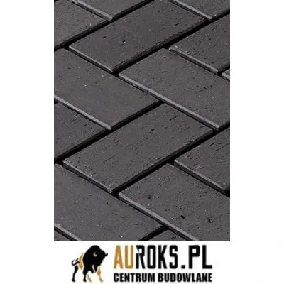 BRUK KLINKIEROWY KOLOR TYBET 200x100x52MM CRH - LHL KLINKIER.jpg