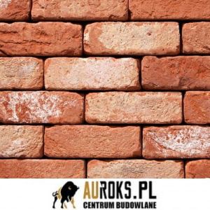 VANDERSANDEN CEGŁA OUD HALEWIJN 102 DF 210x100x65 MM 