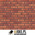PŁYTKA KLINKIEROWA KOLOR PURPLE RAIN NF 71x240x10 MM KLINKIER PRZYSUCHA.jpg