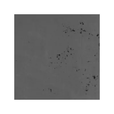 LUXUM BETON PREMIUM SZARY CIEMNY 60x30 GR 1 CM S96.png