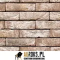 CEGŁA PEŁNA ANICIUS 79 DF 210x100x65 MM RĘCZNIE FORMOWANA VANDERSANDEN
