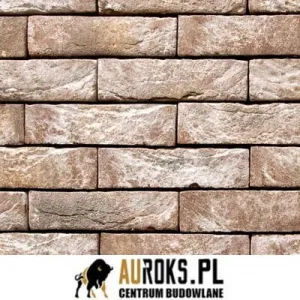 VANDERSANDEN CEGŁA ANICIUS 79 DF 210x100x65 MM 