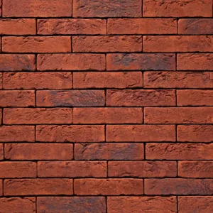 VANDERSANDEN CEGŁA MARRON 99 WF 210x100x50 MM