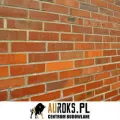 CEGŁA KLINKIEROWA SZCZELINOWA KOLOR GOTIKA RF 250x120x65 MM LHL KLINKIER.ARANŻ.jpg