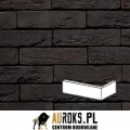 PŁYTKA KĄTOWA LIVORNO 55 DF 210x100x65x20 MM RĘCZNIE FORMOWANA VANDERSANDEN.jpg