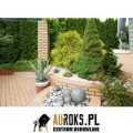 BRUK KLINKIEROWY KOLOR SAHARA 200x100x47 MM FIRMY LHL KLINKIER. ARANŻ.jpg