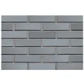 CEGŁA KLINKIEROWA PERFOROWANA KOLOR SOTIS RF 250x120x65 MM FIRMY LHL KLINKIER.jpg