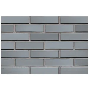 LODE CEGŁA KLINKIEROWA PERFOROWANA KOLOR SOTIS RF 250x120x65 MM