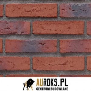 CEGŁA RĘCZNIE FORMOWANA WF STRUCTEAU FUEGO – WIJNROOD GESINTERD 210x100x50 MM