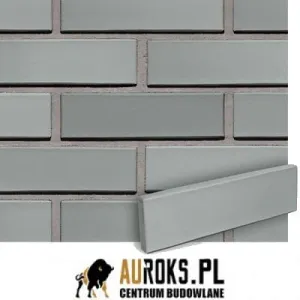 LODE PŁYTKA KLINKIEROWA KOLOR SYRIUSZ CIENIOWANY 250x10x65 MM