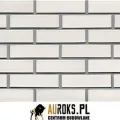 CEGŁA KLINKIEROWA POŁÓWKA KOLOR WENUS RF 250x55x65 MM FIRMY LHL KLINKIER.jpg