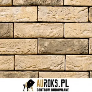 VANDERSANDEN CEGŁA CORUM 64 DF 210x100x65 MM 