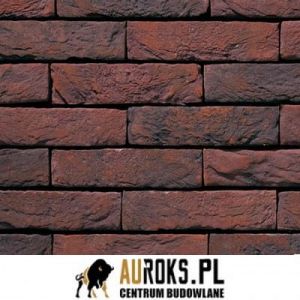 VANDERSANDEN CEGŁA PARMA 33 DF 210x100x65 MM 