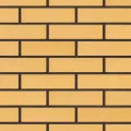 KING KLINKER RÓŻA PUSTYNI PŁYTKA 65x250x10 MM