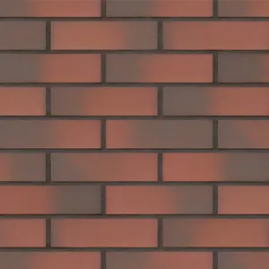KING KLINKER TAJEMNICZY OGRÓD PŁYTKA 65x250x10 MM 