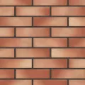 KING KLINKER SŁONECZNY BRZEG PŁYTKA 65x250x10 MM