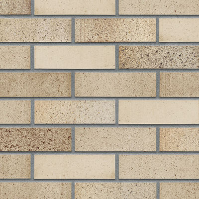 KING KLINKER SAND PEPPER PŁYTKA NF 71x240x14 MM