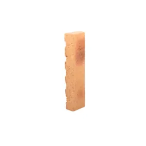 CEGŁA KLINKIEROWA NAKRAPIANA PŁASKA 220x30x50mm PARKANEX 