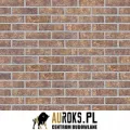 PŁYTKA KLINKIEROWA AFRICAN SOUL NF 71x240x10 MM KLINKIER PRZYSUCHA.jpg