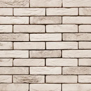 VANDERSANDEN CEGŁA LIMA 124 DF 210x100x65 MM