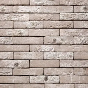 VANDERSANDEN CEGŁA ANTRO 152 DF 210x100x65 MM