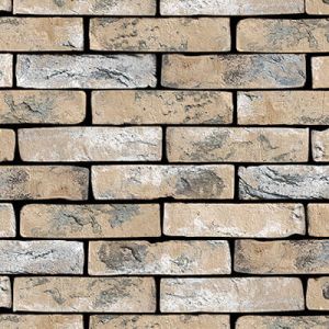 VANDERSANDEN CEGŁA HUBERTUS 302 DF 210x100x65 MM