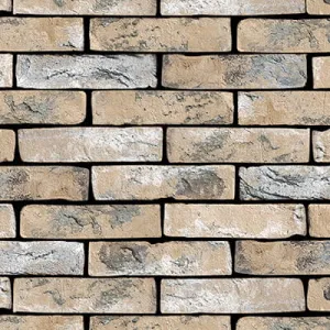 VANDERSANDEN CEGŁA HUBERTUS 302 DF 210x100x65 MM