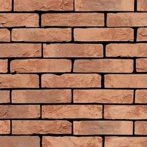 VANDERSANDEN CEGŁA TERRA COTTA 304 DF 210x100x65 MM