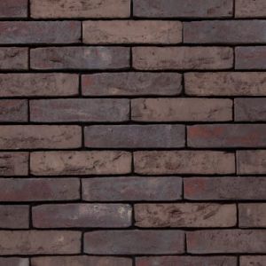 VANDERSANDEN CEGŁA HERNING WASSERSTRICH 515 WF 210x100x50 MM