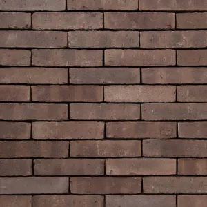 VANDERSANDEN CEGŁA FLEMMING WASSERSTRICH 516 WF 210x100x50 MM